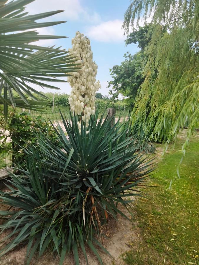 Bed and Breakfast Antico Borgo Leone Rauscedo Esterno foto